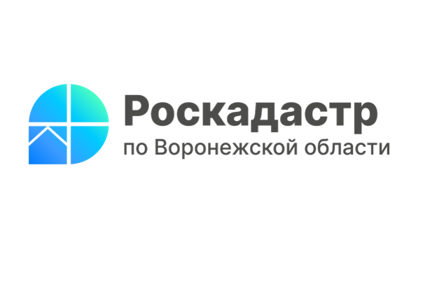 Воронежский Роскадастр подвел итоги 2024 года.